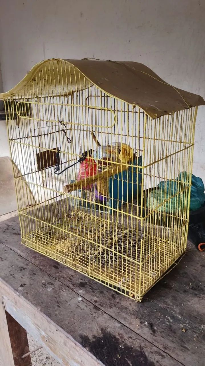 Vendo gaiola