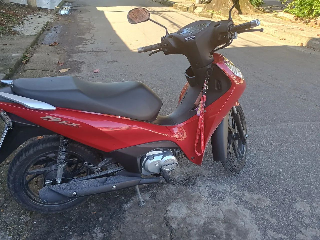 Blz 2025 flex - Foto 2