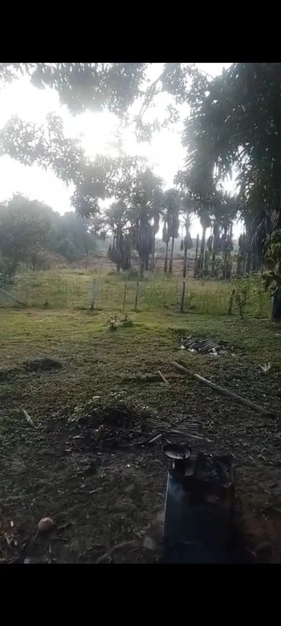 Vendo campo/sitio - Foto 3