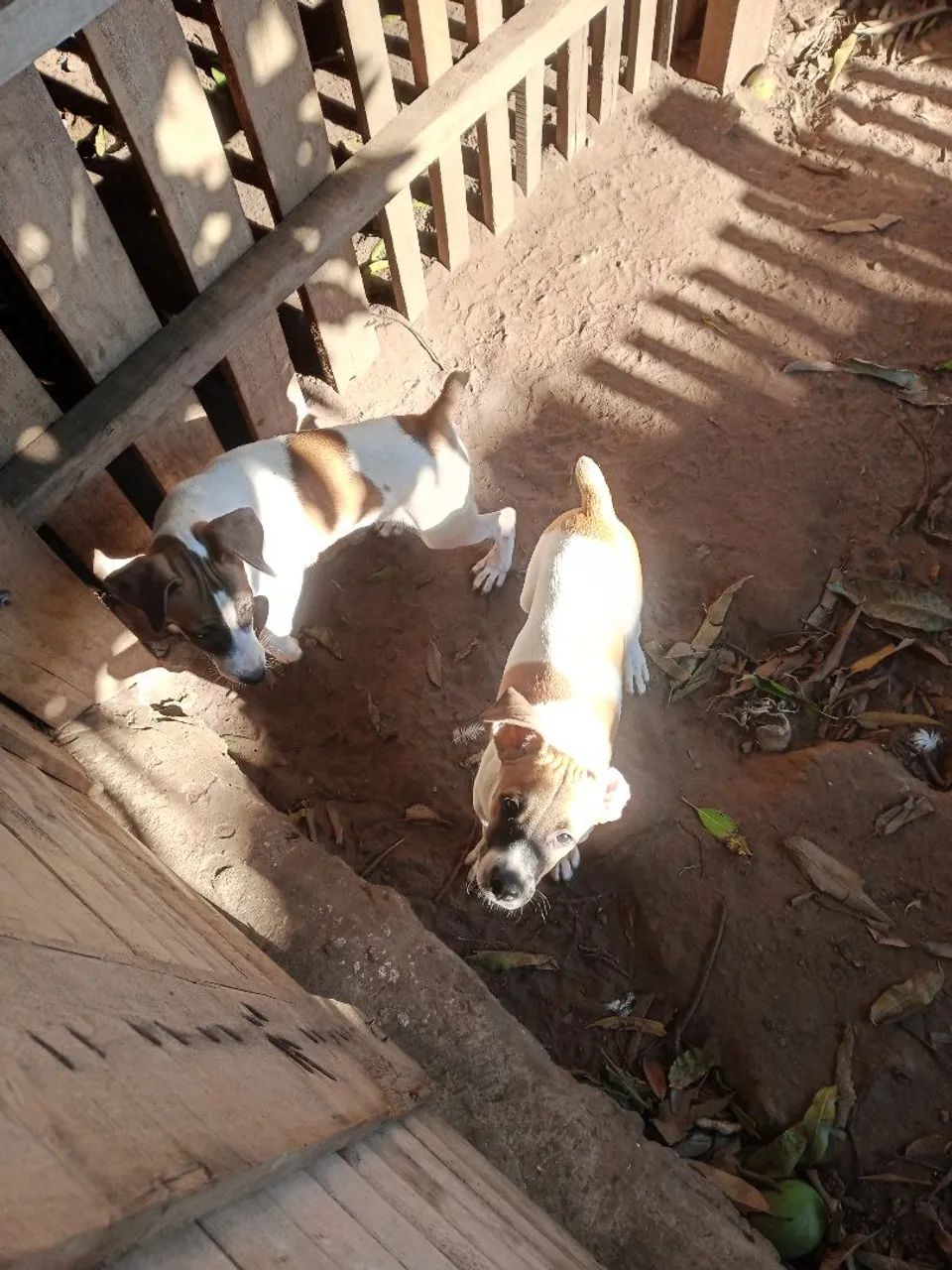 Doação consciente  - Foto 5