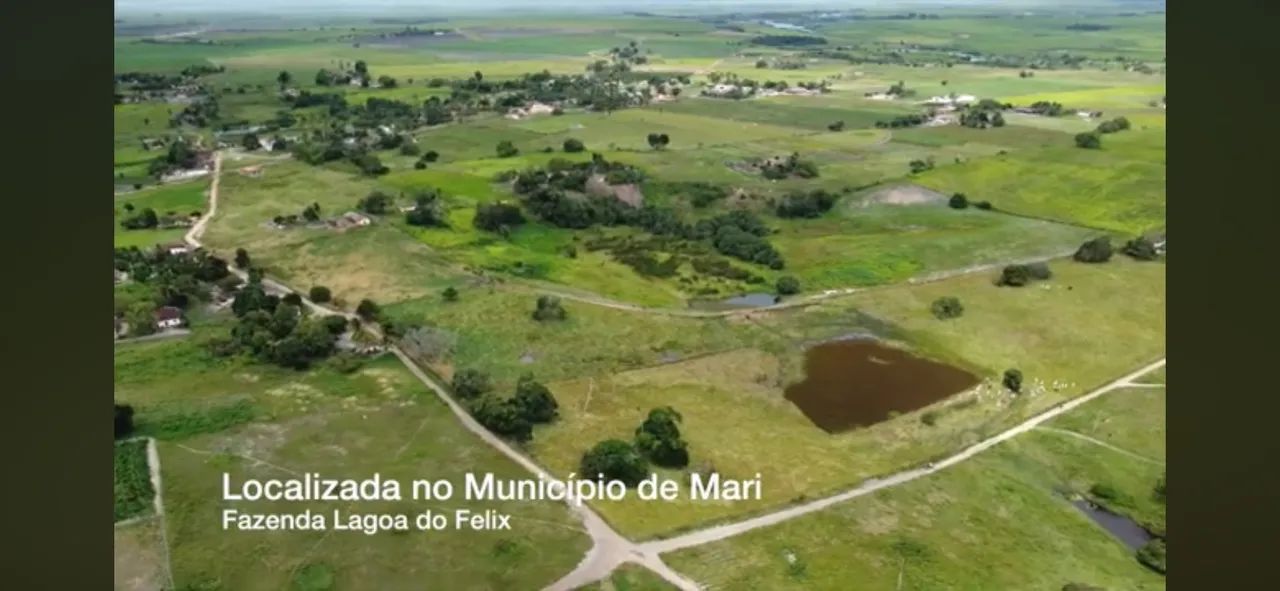 Fazenda 48 hectares 4 açudes região de mari - Foto 5