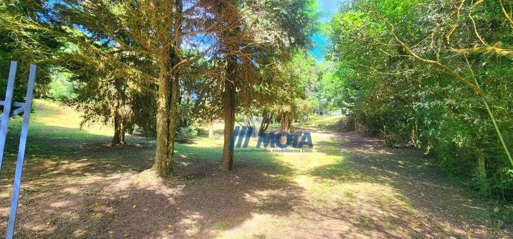 Chácara à venda Campo Magro - 51.920m², 2 casas- Frente para estrada principal, próximo ao - Foto 7