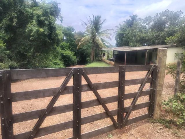 Foto - Uberlândia - Nossa Senhora das Graças