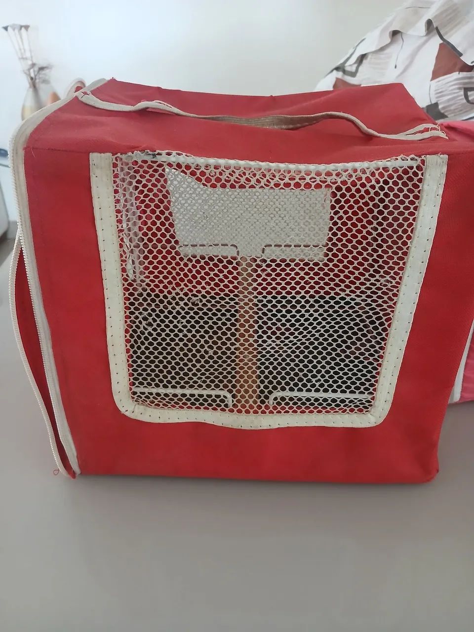 Viajante para aves - Foto 3