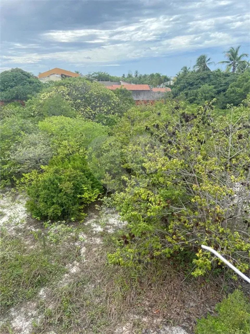 Loteamento à venda em Edson queiroz - CE - Foto 4
