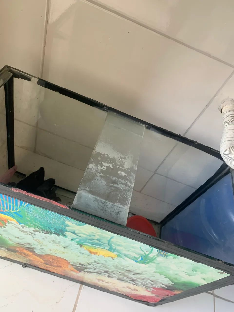Aquário - Foto 2