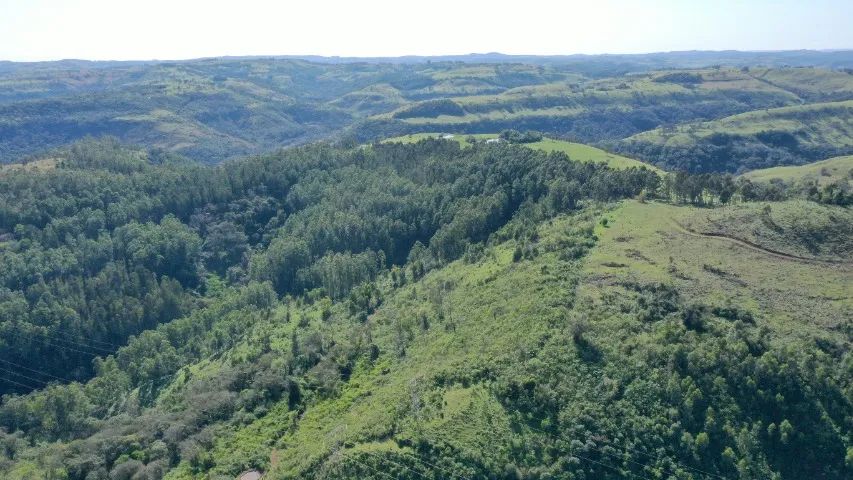 Fazenda  135  alq. oportunidade - Foto 4