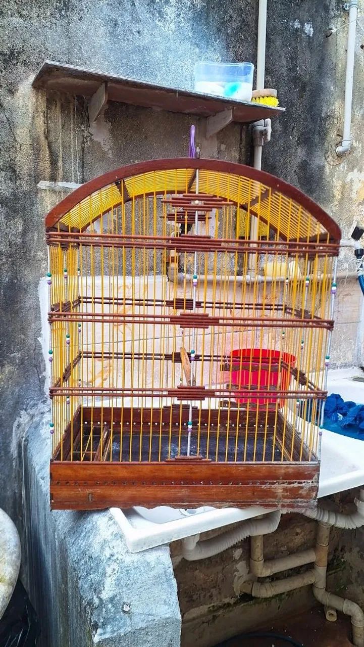Gaiola  - Foto 3
