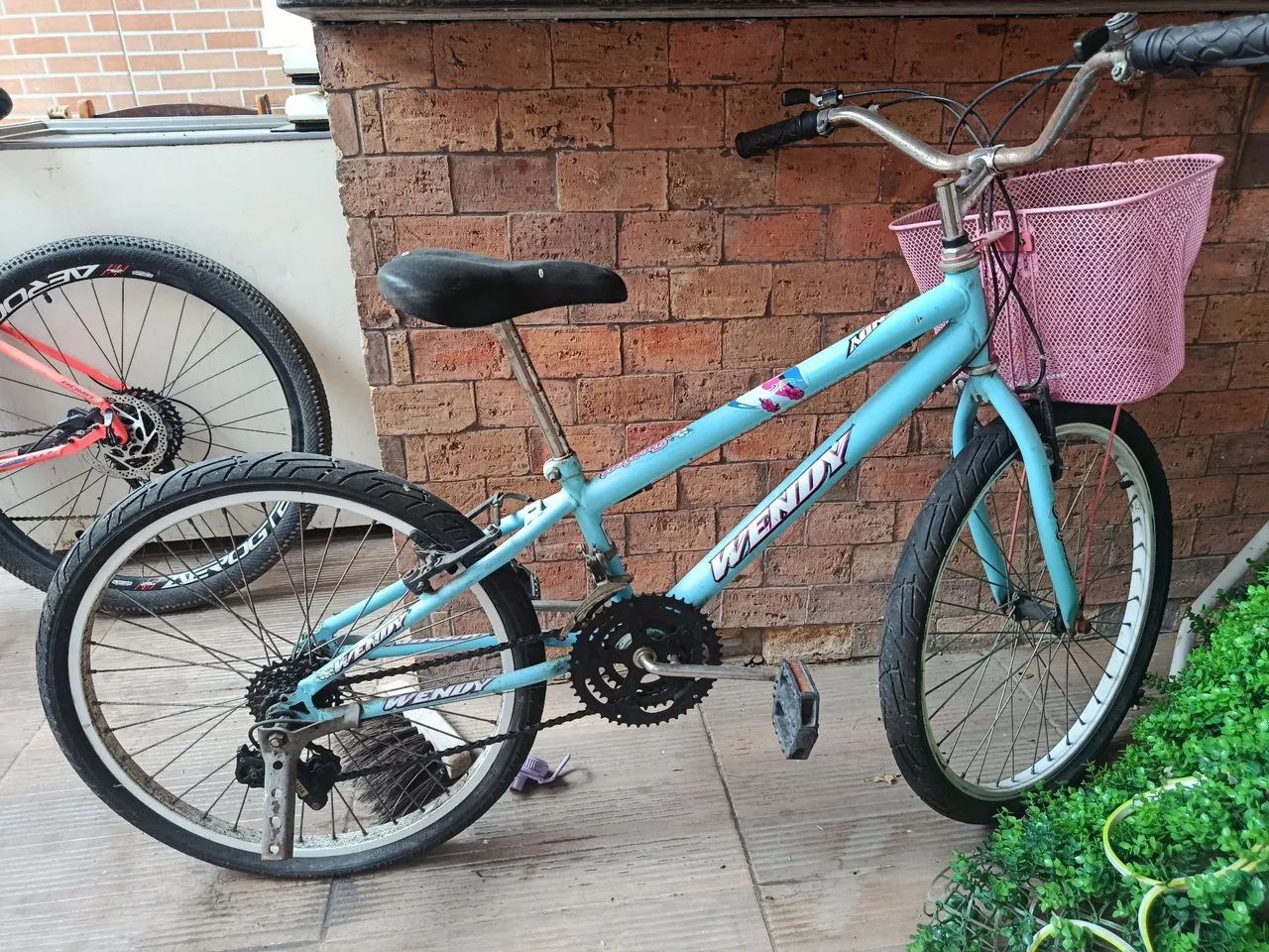 BICICLETA 