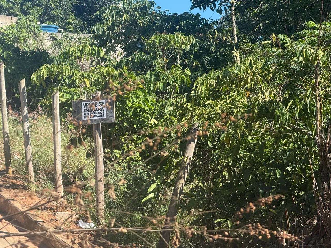 ? TERRENOS À VENDA ? EXCELENTE OPORTUNIDADE! - Foto 3