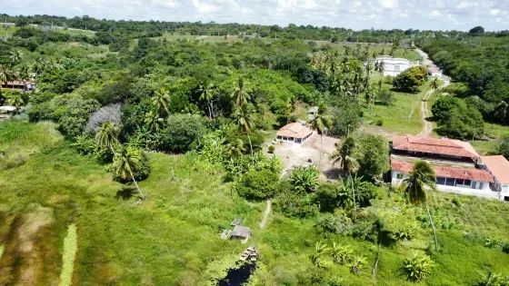 Granja com 9 hectares em Extremoz - Foto 4