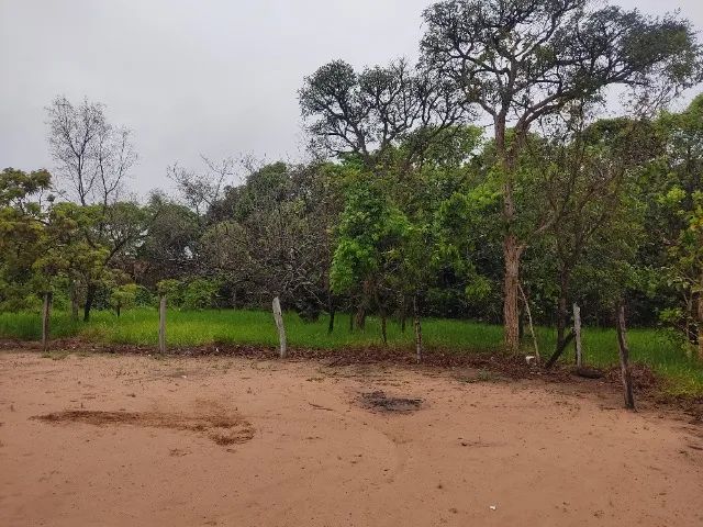 Vendo ou troco chácara (5.000m2) - 79079-090 - Foto 4