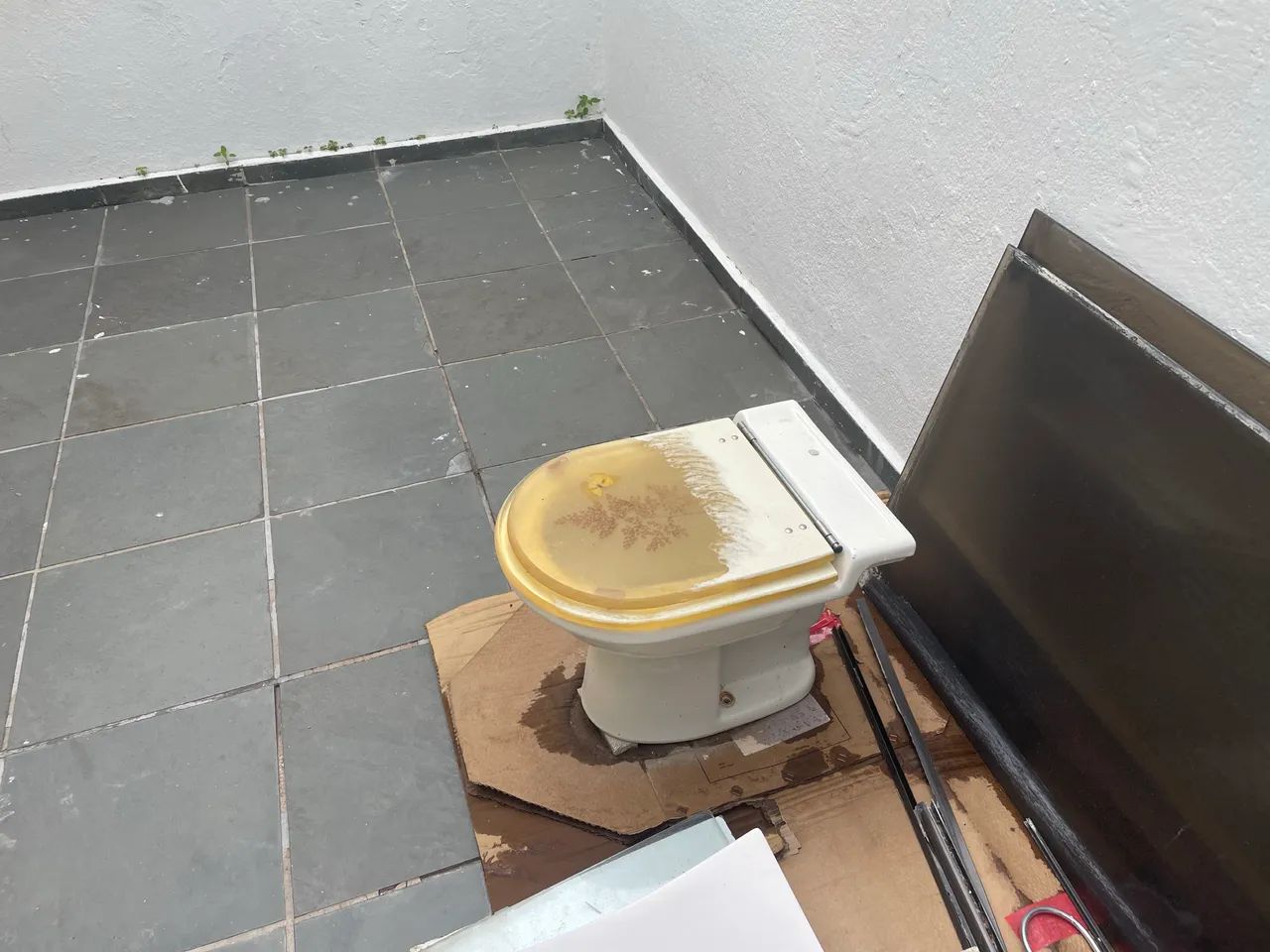 Vaso sanitário com tampa acrílica - Foto 2