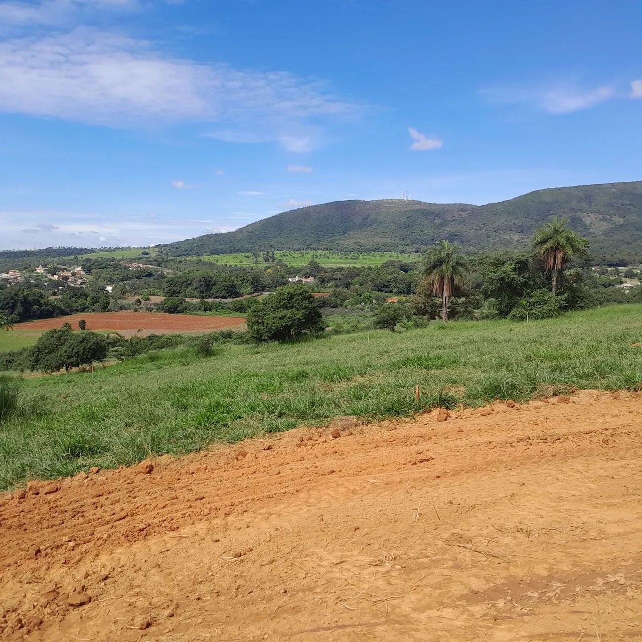 Chacaras rurais em mateus leme  - Foto 3