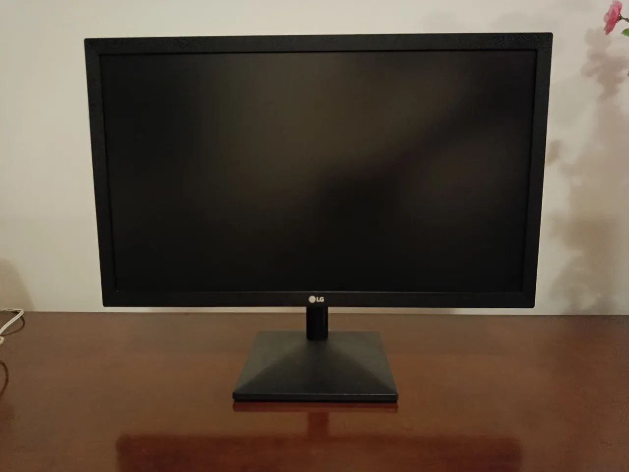 Monitor LG 21 polegadas