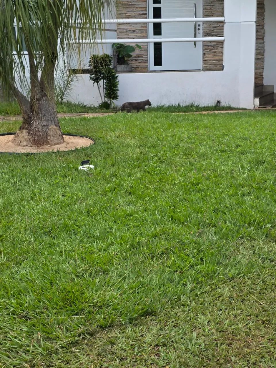 jardineiro