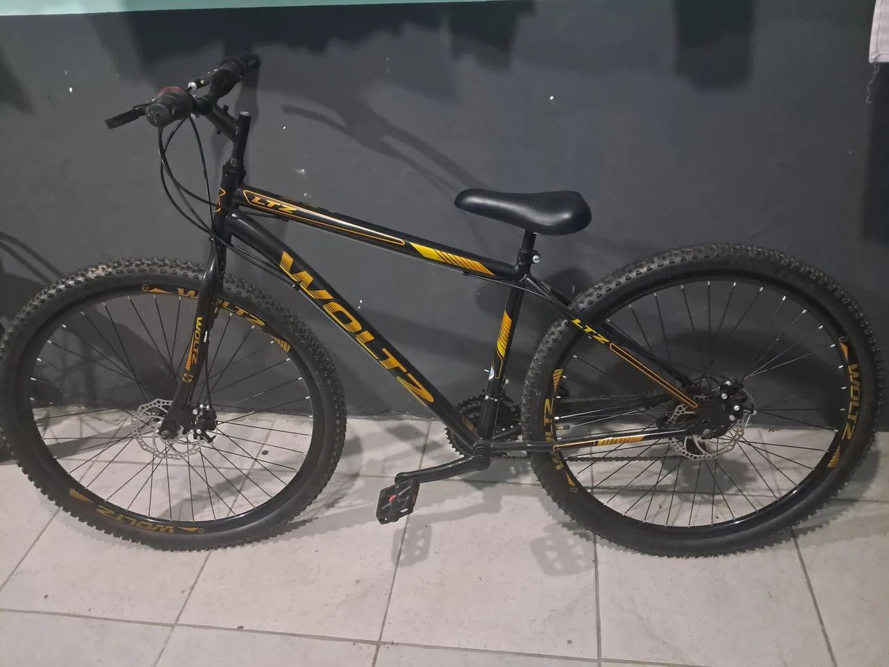 Bicleta
