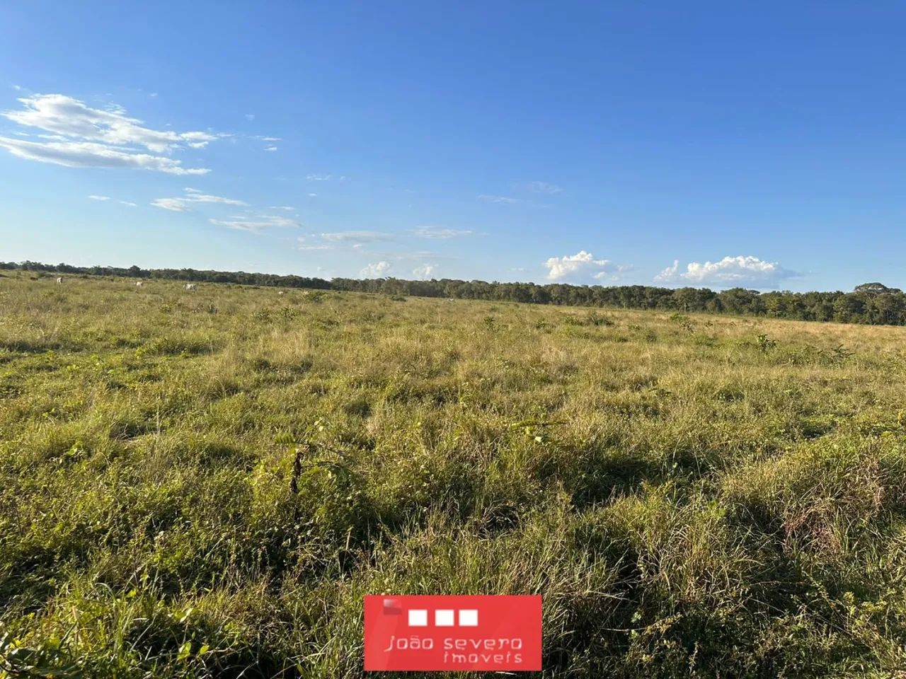 Fazenda para Venda em Formoso do Araguaia - Foto 5