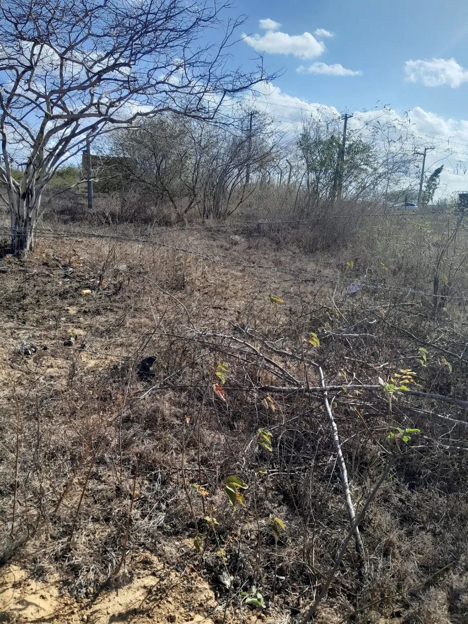 Ótima oportunidade.  - Foto 5