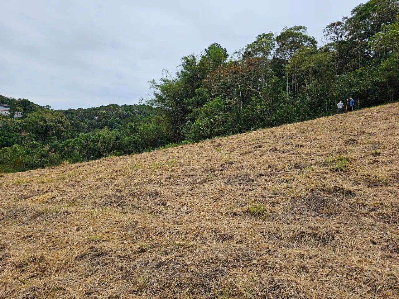 Chácara com escritura em Vila Moraes Mogi das Cruzes  - Foto 4