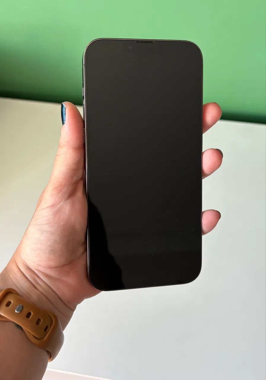 Iphone 13 pro max - 256 gb - Graphite - Bateria 100% - Garantia