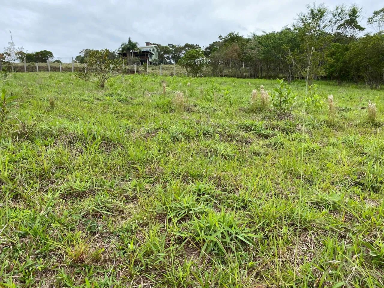 Terreno de 12.264 m² em Garopaba - Documentação Completa e Viabilidade para Construção - Foto 4