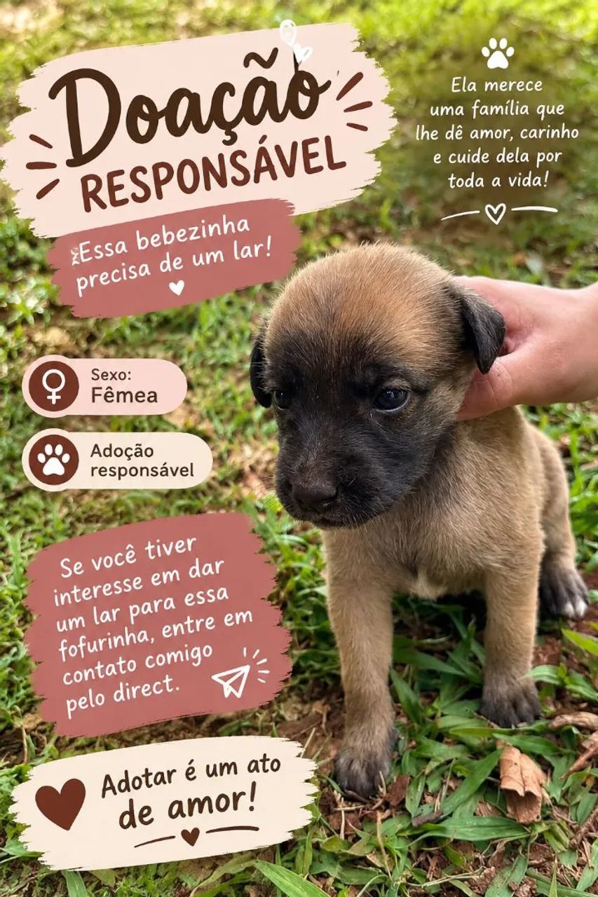 Doação 