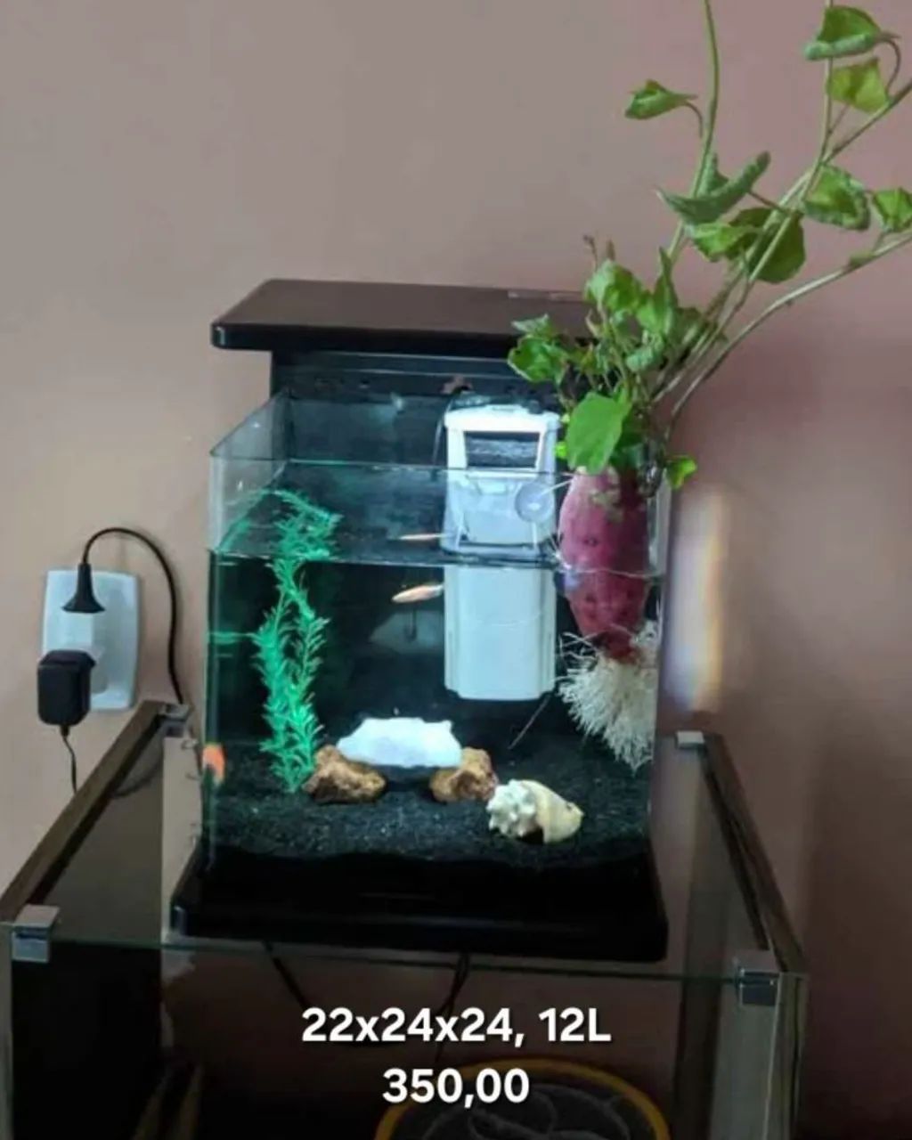Aquario  - Foto 3