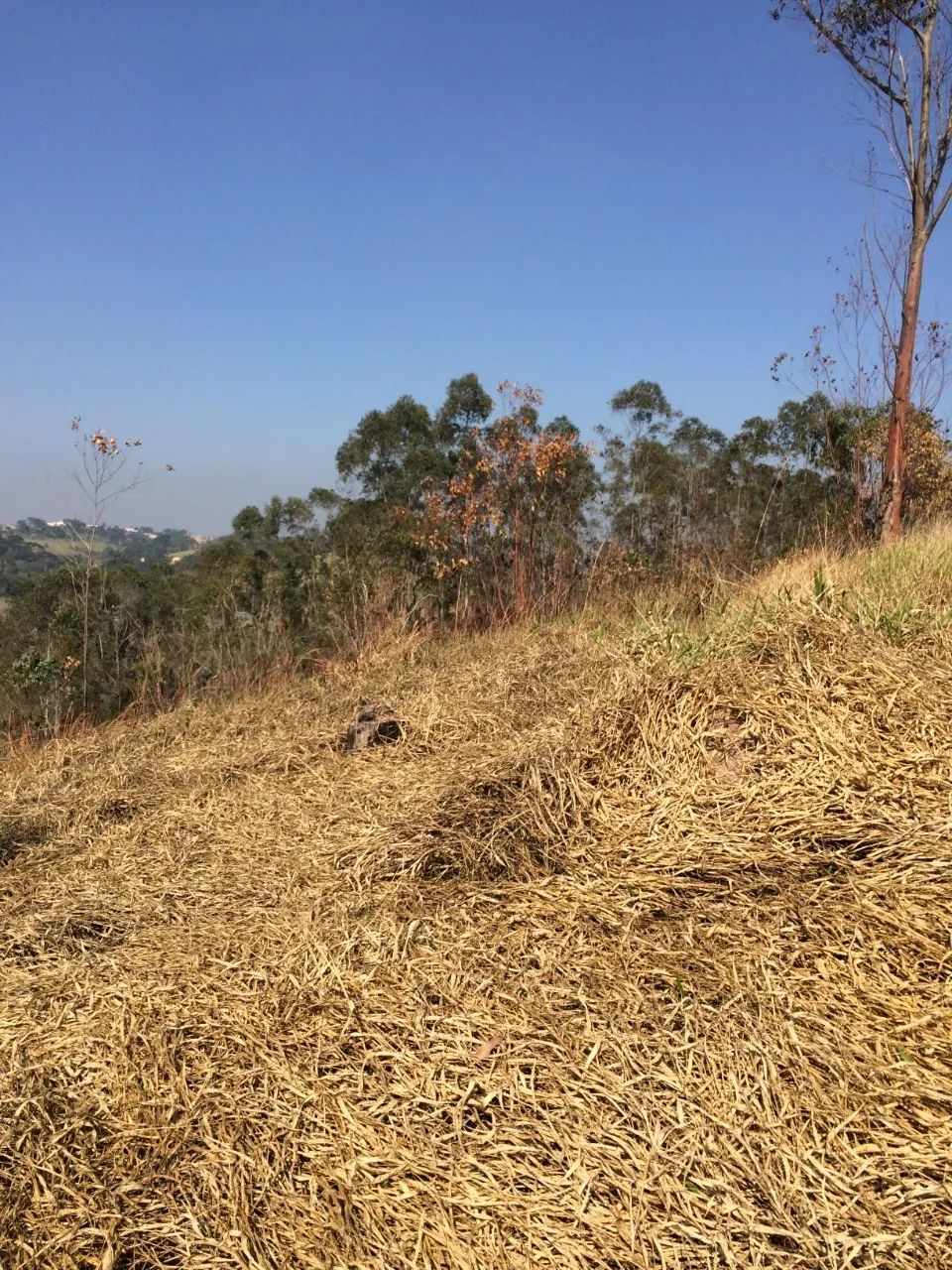 TERRENO COMERCIAL em ITAPECERICA DA SERRA - SP, DA LAGOA - Foto 5