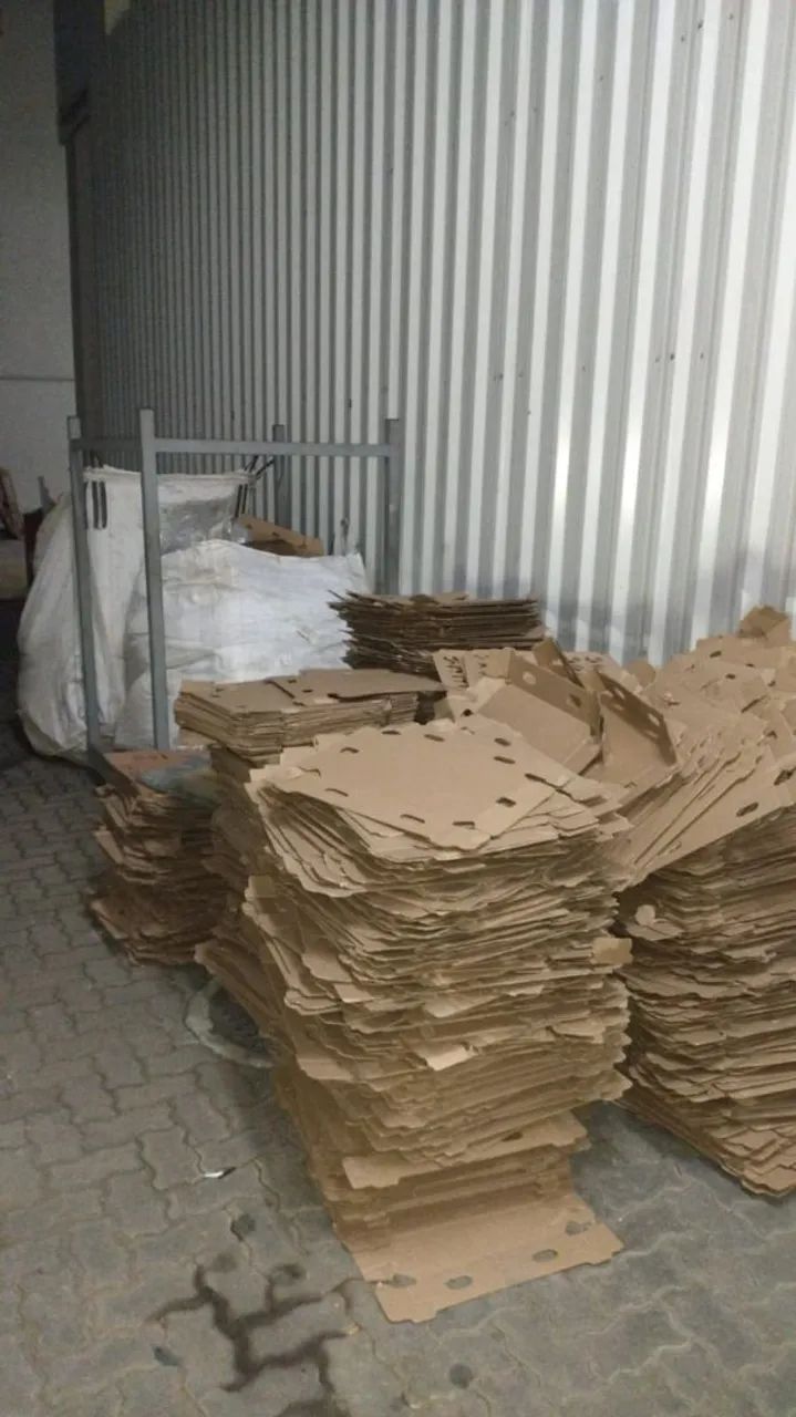 Reciclagem  - Foto 2