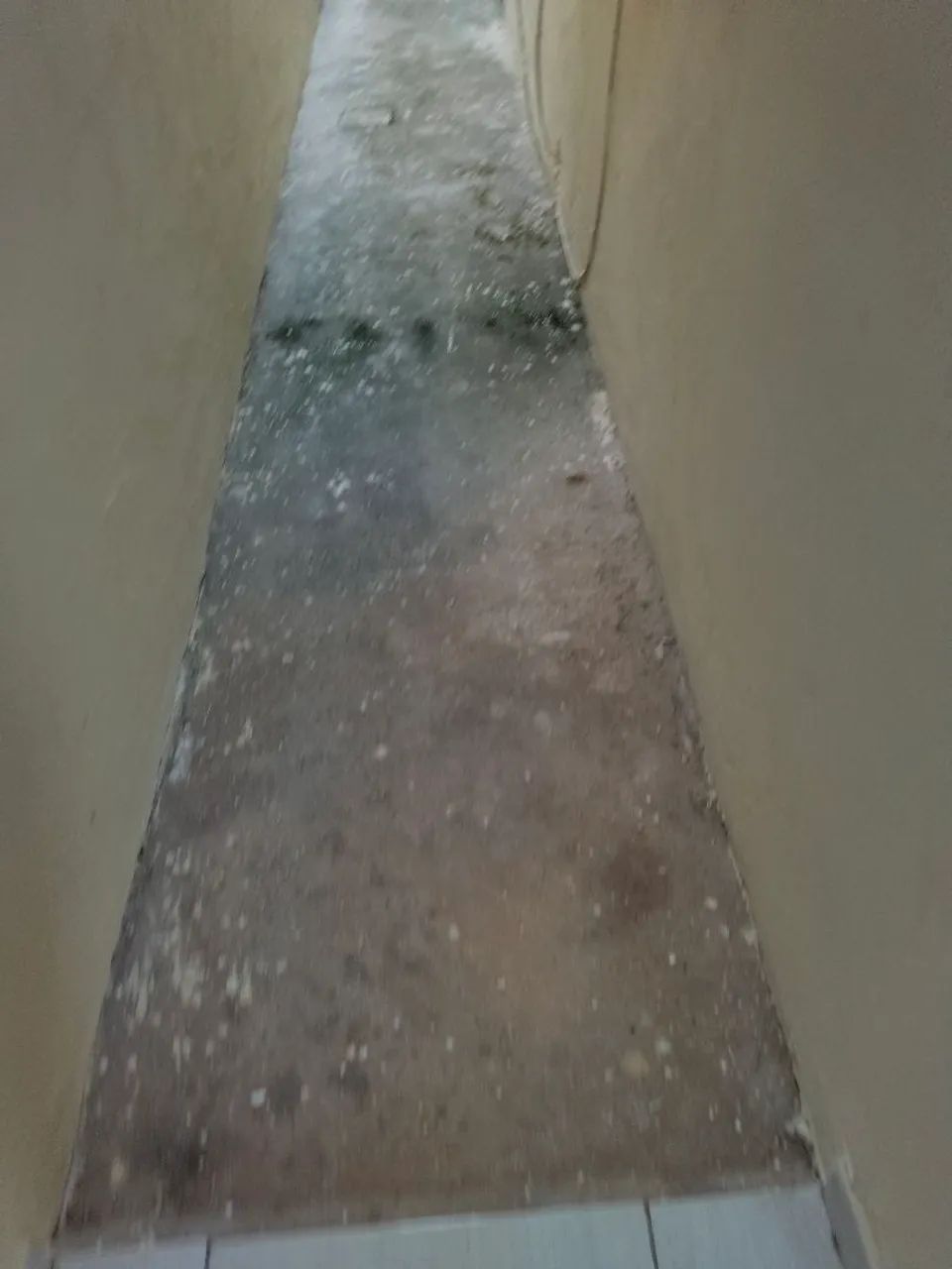 Casa - Foto 3