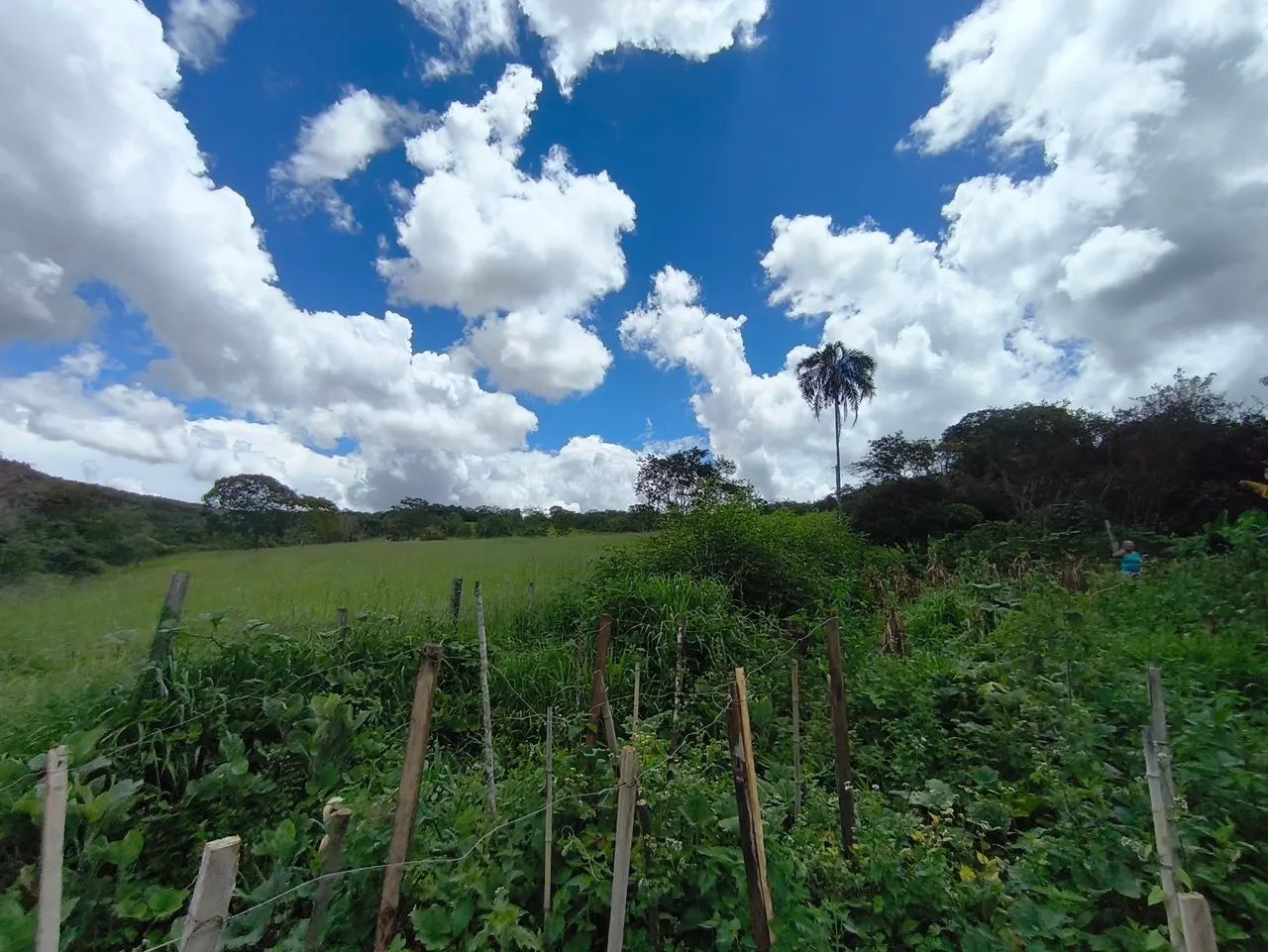 Fazendinha em planalmira - Foto 4