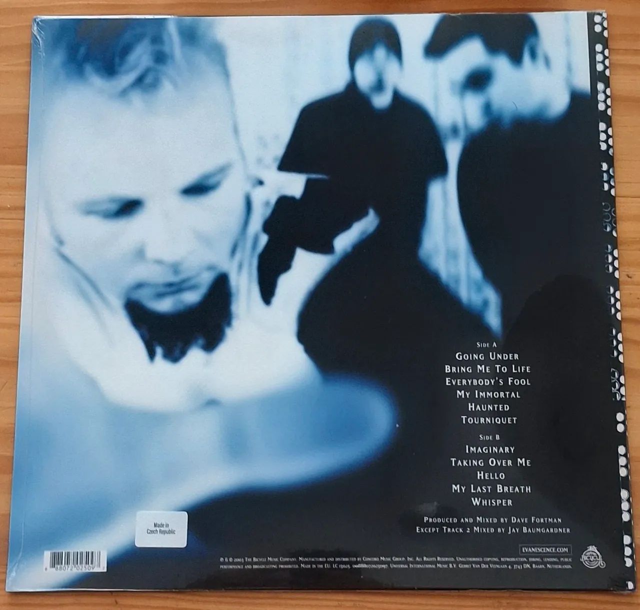 LP Evanescence - Fallen  - Foto 2