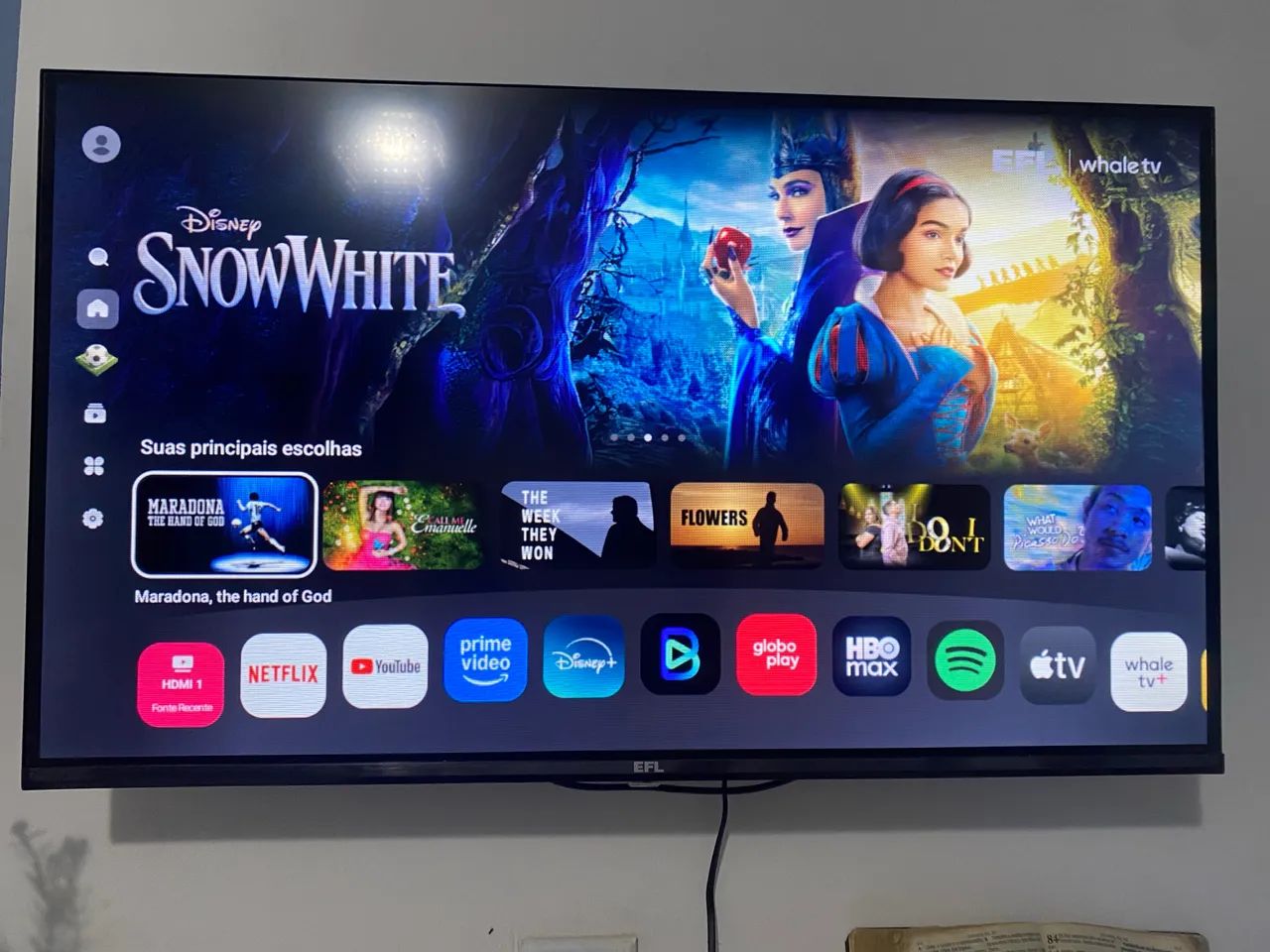 TELEVISÃO NOVINHA 