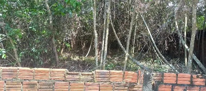 Vende-se um terreno - Foto 2