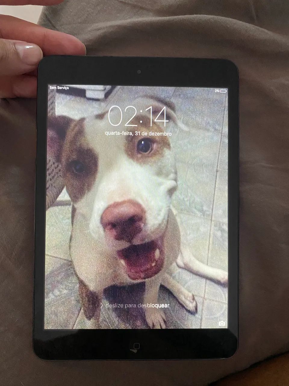 iPad mini 1st Generation471002127271219200