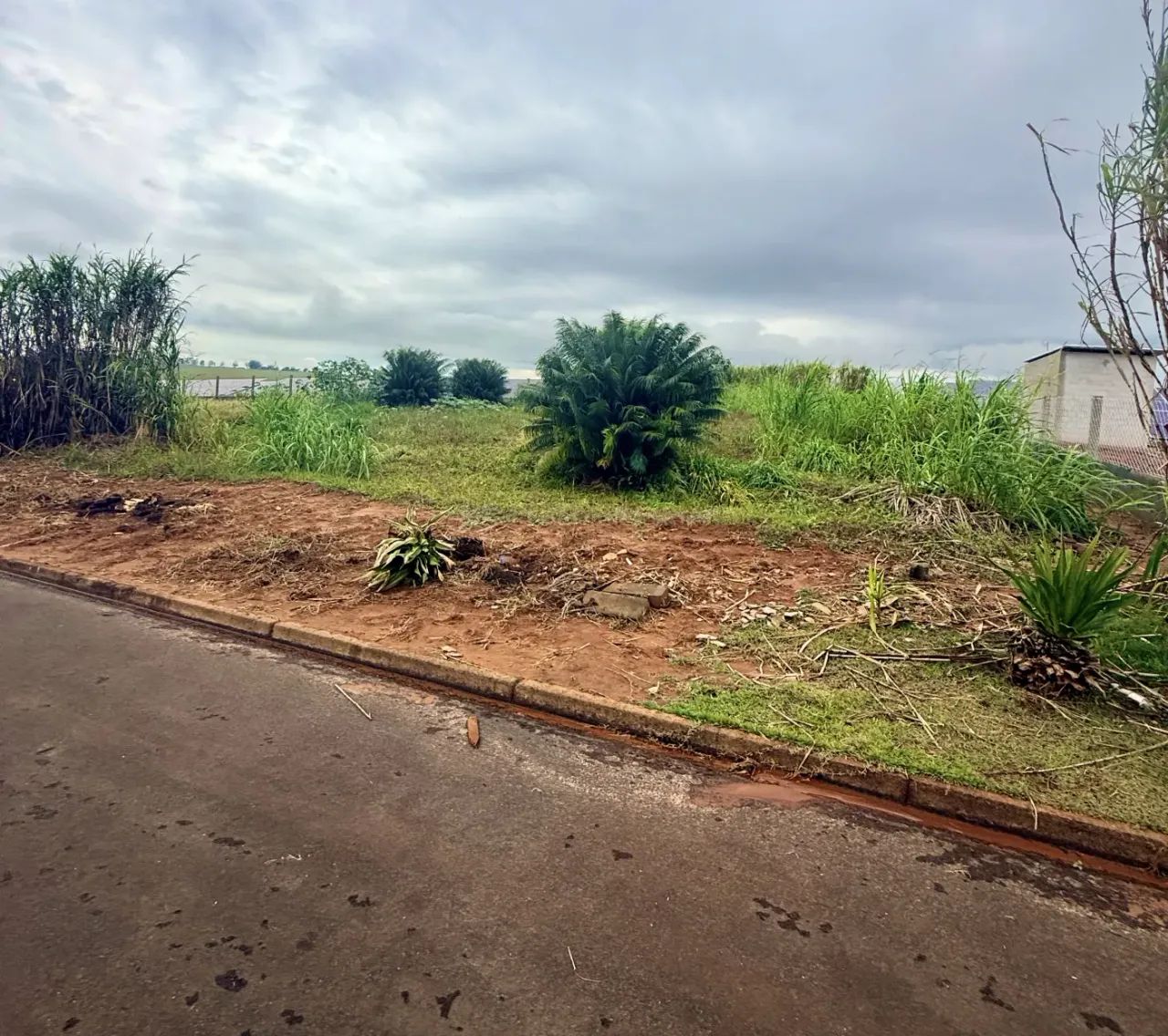Terreno Condomínio em Santa Fé - Foto 5