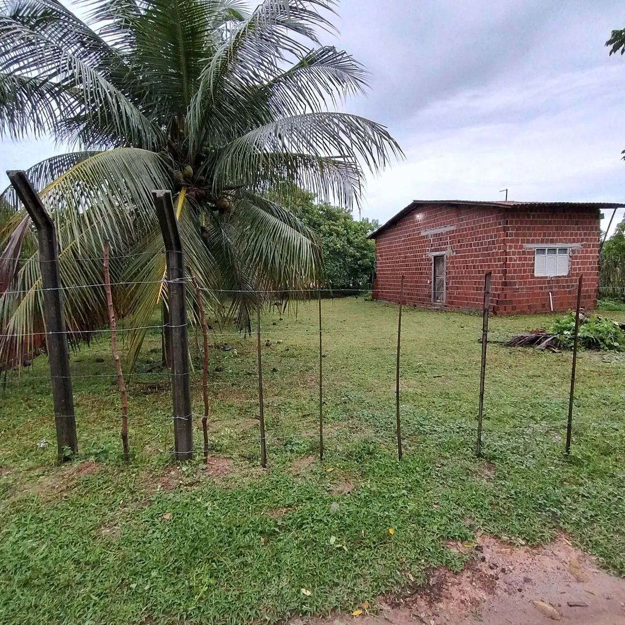 Foto - Nísia Floresta - 