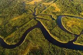 BIOMA AMAZÔNICO: Área de terras à venda de 2 mil hectares com ICMBio. - Foto 5