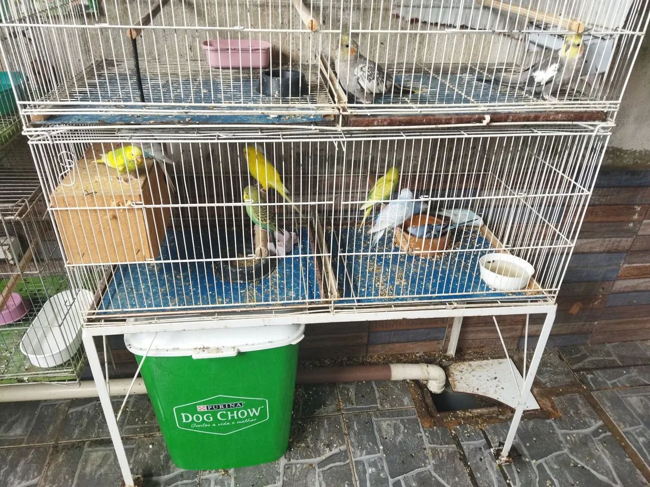 Expositor de pássaros  - Foto 2