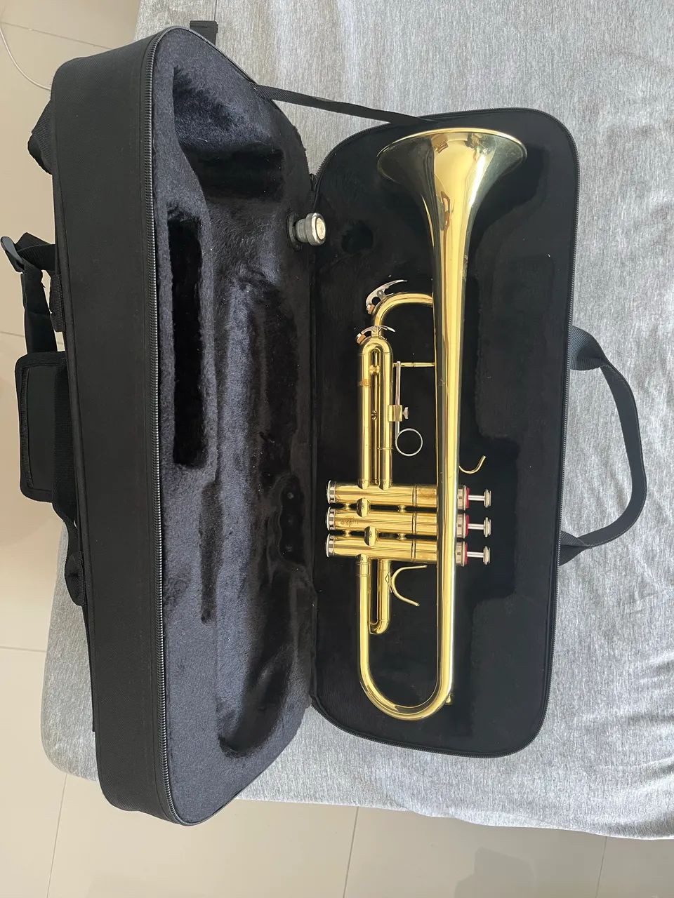 Trompete harmonics - Foto 3