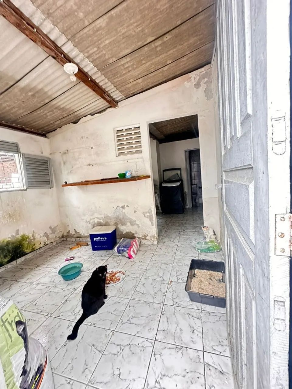 Casa no João Agripino com 3 quartos sendo 1 suite - Foto 4