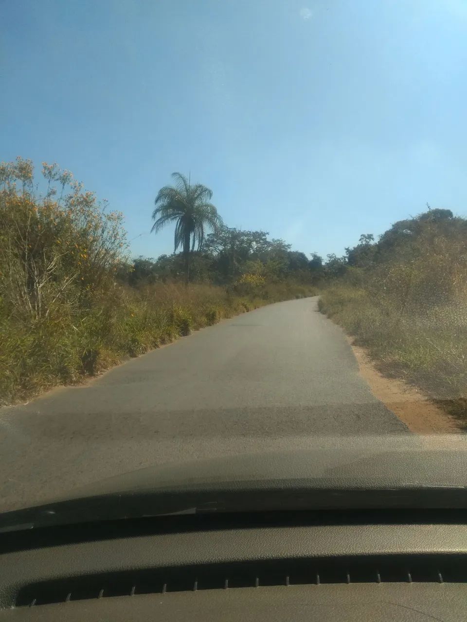 Lote oportunidade  - Foto 4