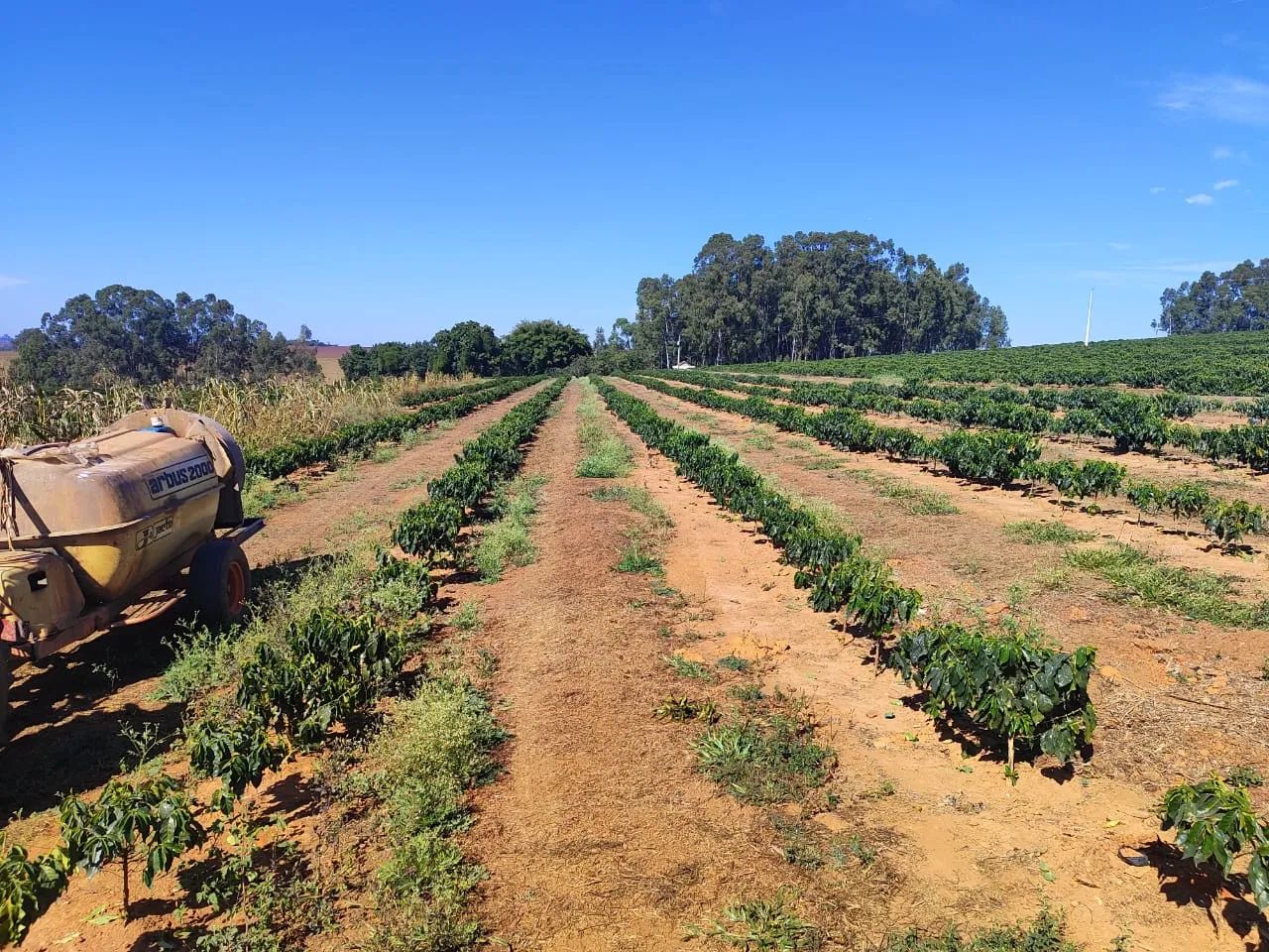 Fazenda patrocínio  - Foto 2