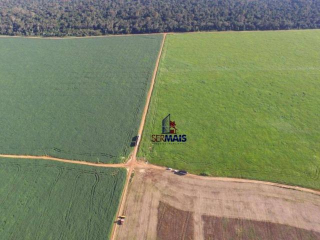 Fazenda muito bem localizada nas proximidade de Cujubim/RO - Foto 14
