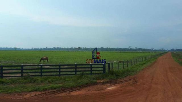 Fazenda muito bem localizada nas proximidade de Cujubim/RO - Foto 4