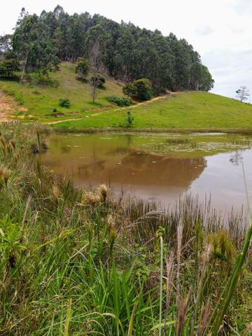 Fazenda região de Itanhaém BA - Foto 15