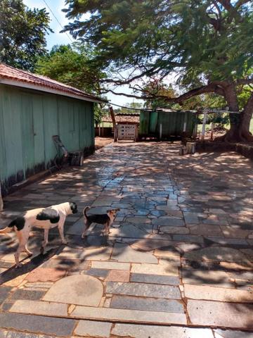 Fazenda, terra boa e pronta! - Foto 10