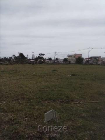 Terreno amplo no Costeira - Foto 8