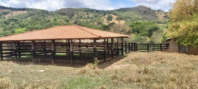 Fazenda - Foto 3